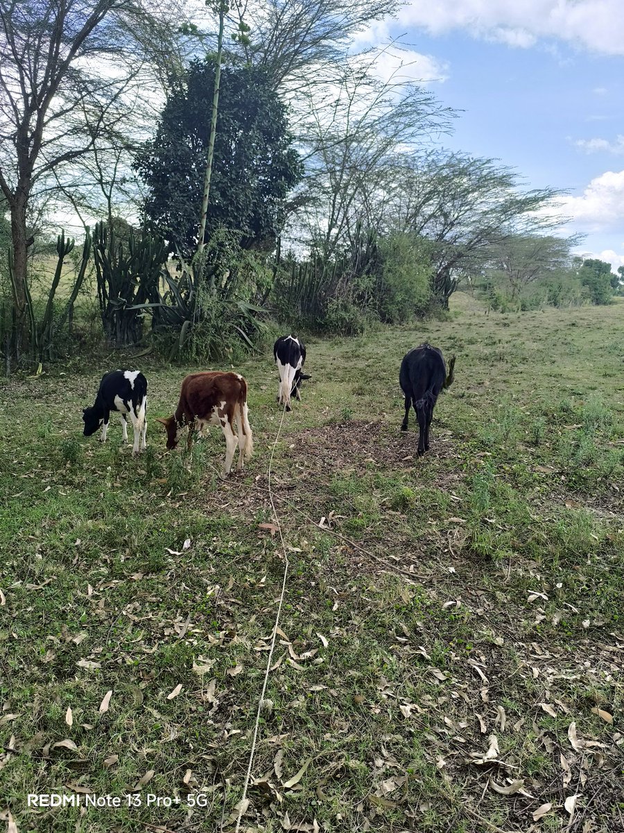 Ian Tabariit tweet media