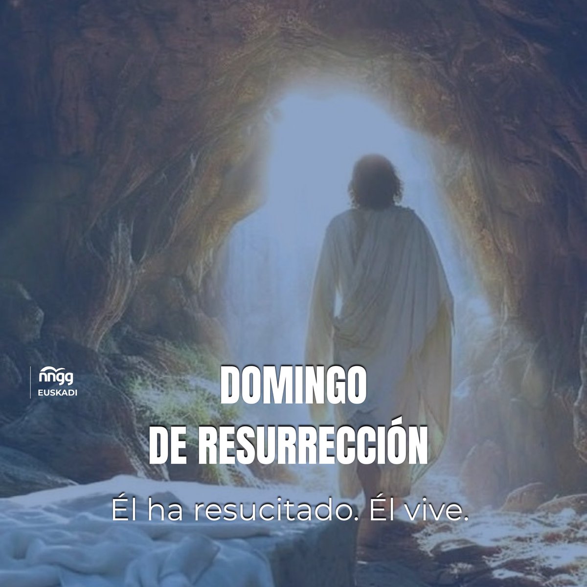 NNGG Euskadi tweet media