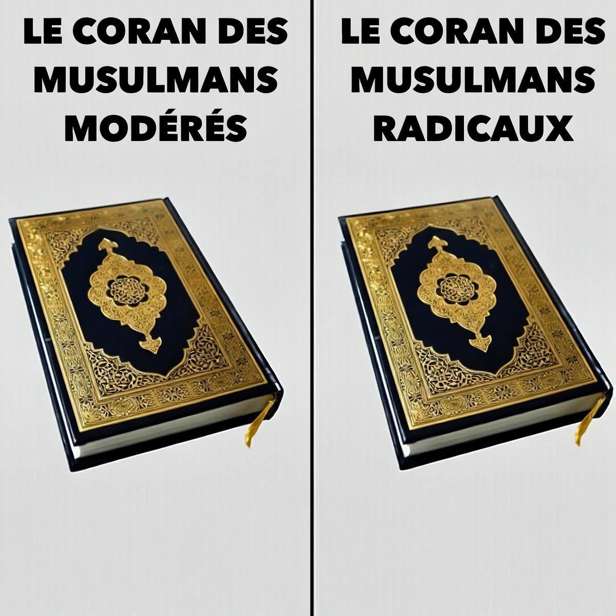 Vivi-Apostat tweet media