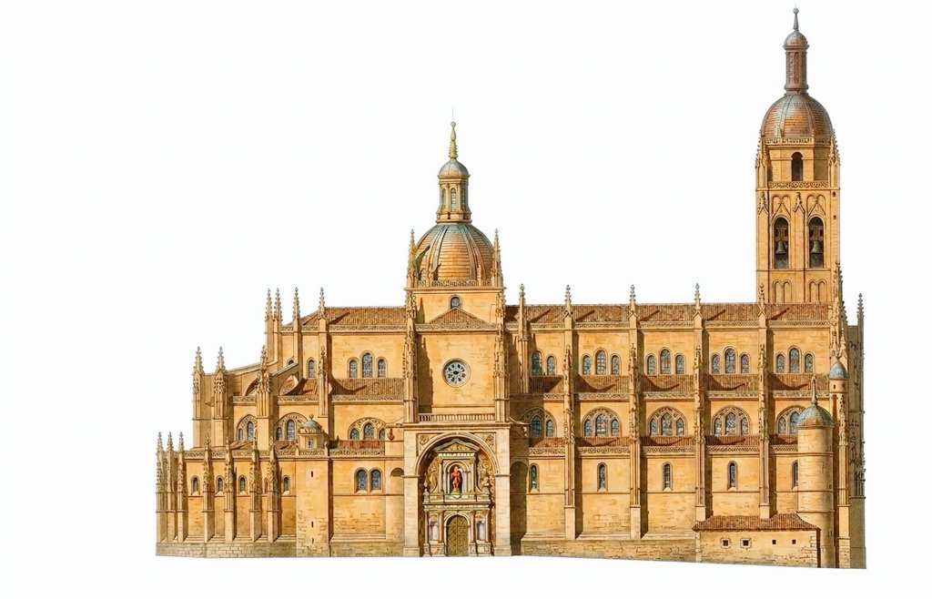 Jujo🌿 tweet media