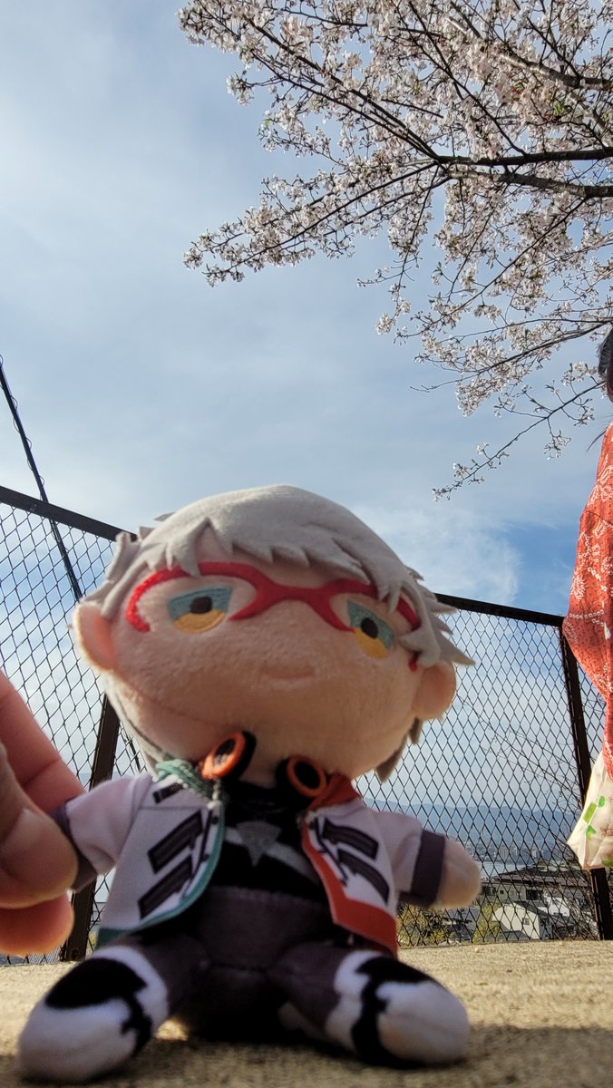 友達とアルさんぬいと宮島にお花見しに行ってきた！
#アルランディス