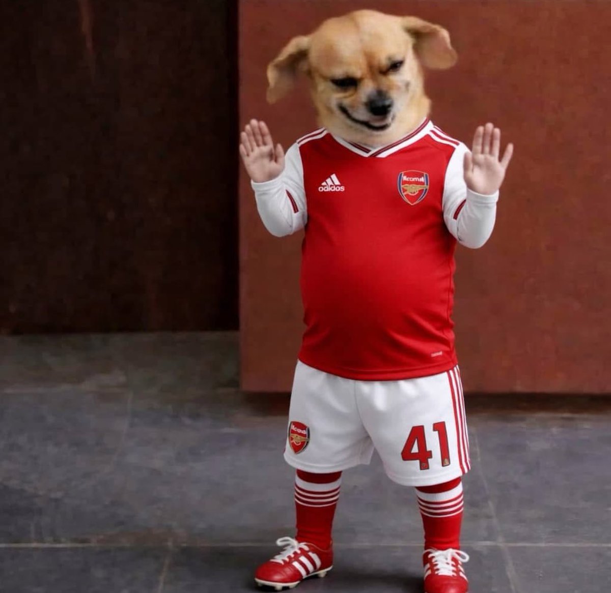 SALAMIX ☄️ tweet media