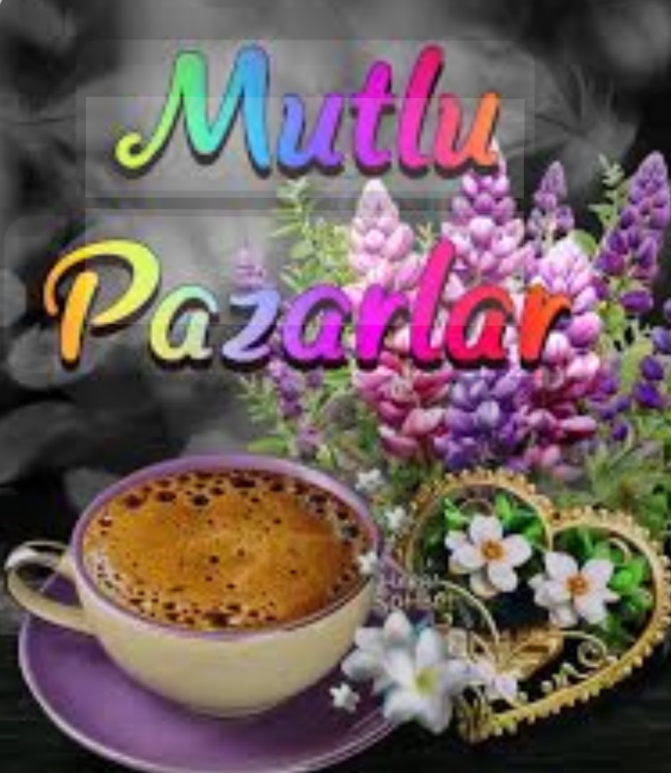 O. Kzlrmk tweet media