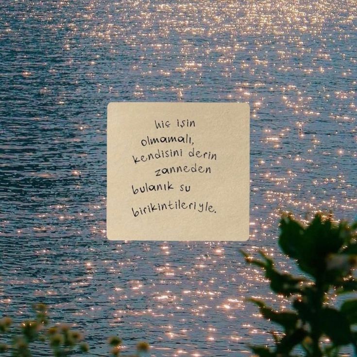ardiskusu's tweet photo. hiç işin olmamalı, kendisini derin zanneden bulanık su birikintileriyle. https://t.co/Cm0kSYkxz5
