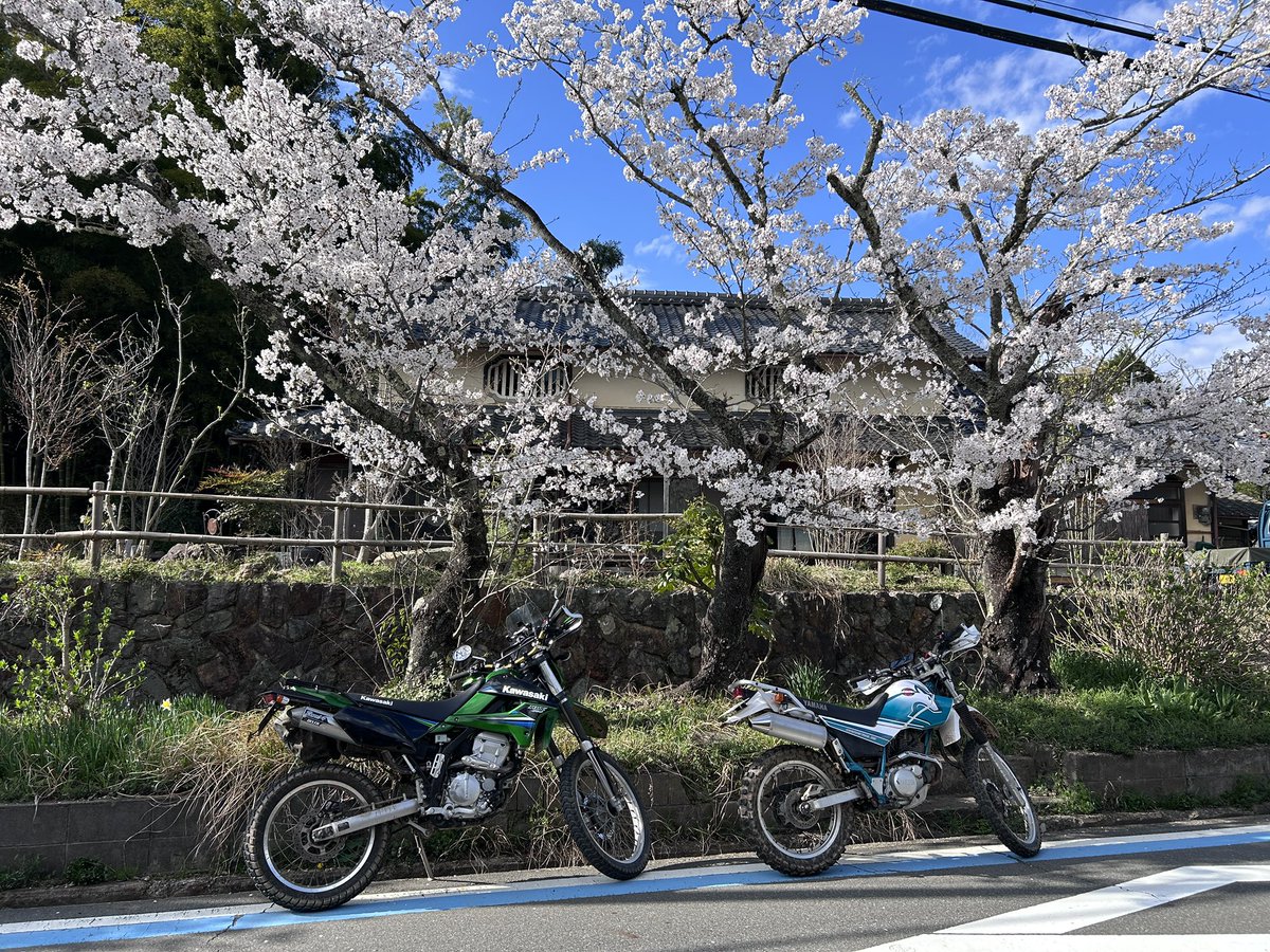 なめたけボンバイェ tweet media