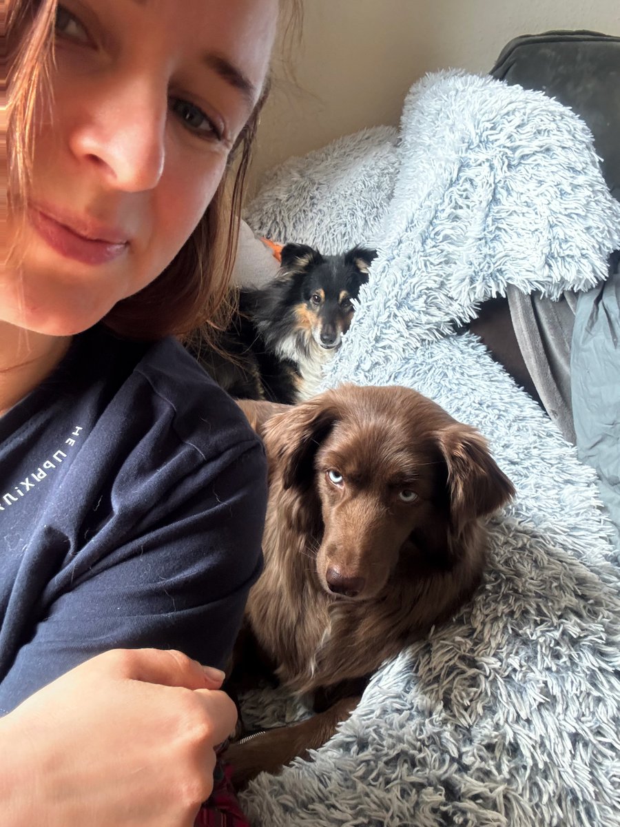 мелочь, а приятно tweet media