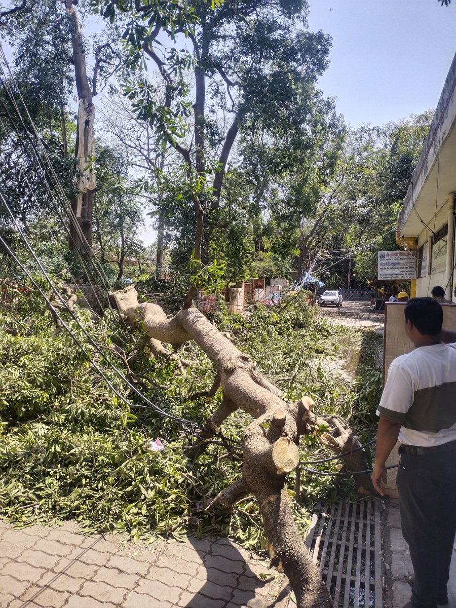 RulzBeer's tweet photo. @KESCoHQ this is Sarvodaya Nagar, Dr. Mahendru Hospital lane, Kanpur. We don't have power since last evening. My grandmother (95 years) and uncle (72) are home patients and need electricity for medical assistance. Please help 🙏🏼 https://t.co/YVAAalxx0Q