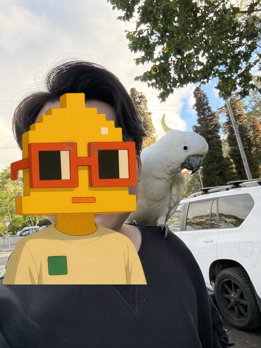 菠菜菠菜｜bocaibocai tweet media