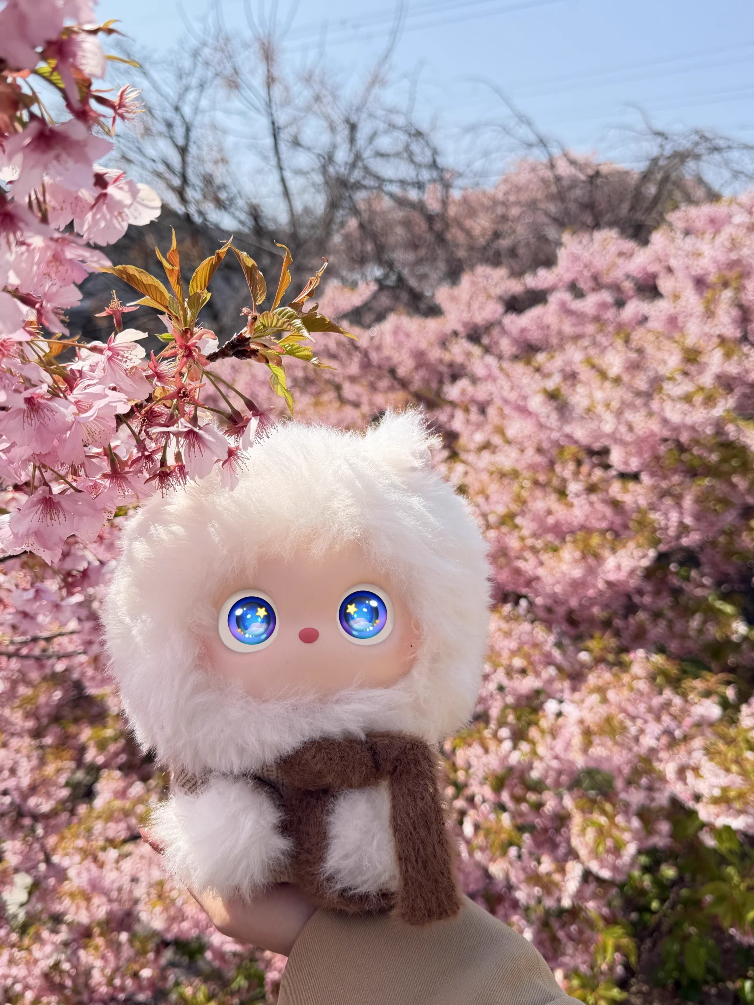 iMoochi（アイモーチ）【公式】 (@imoochi_) / X
