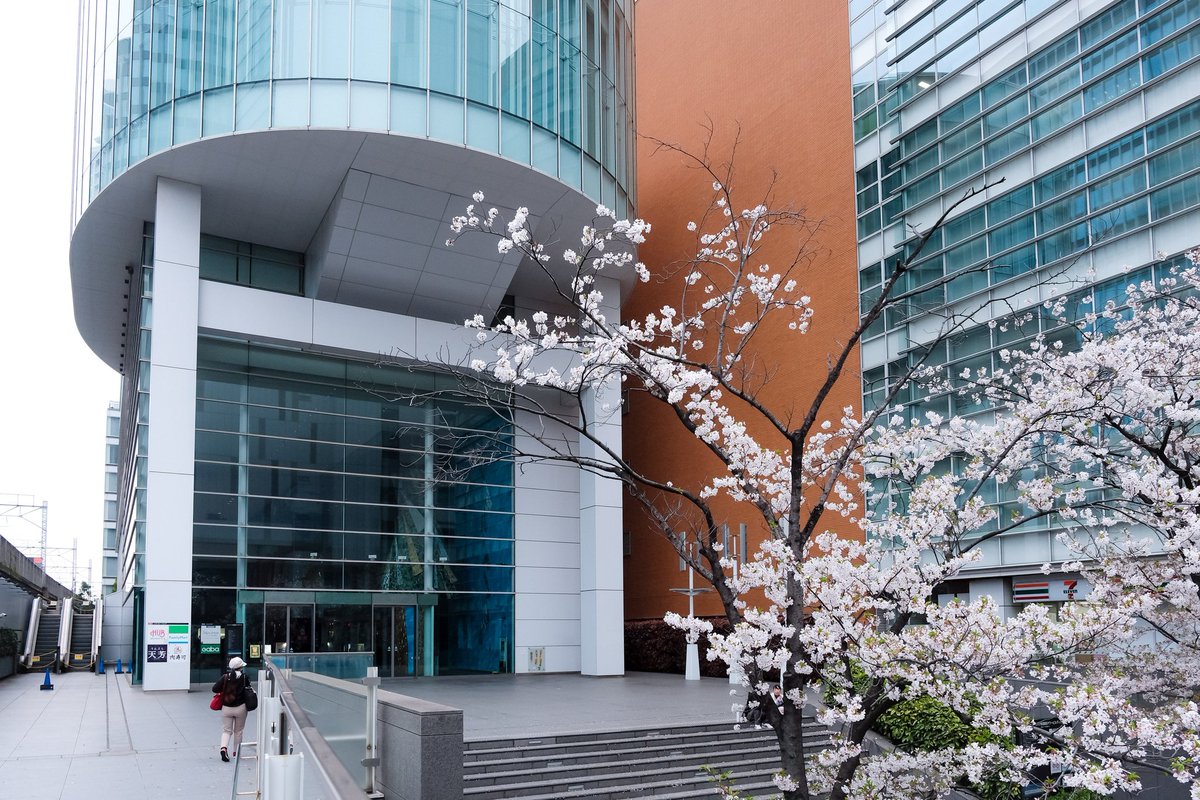 シイヤ (C'Ya) tweet media