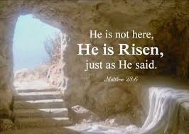 Meta Washington tweet media