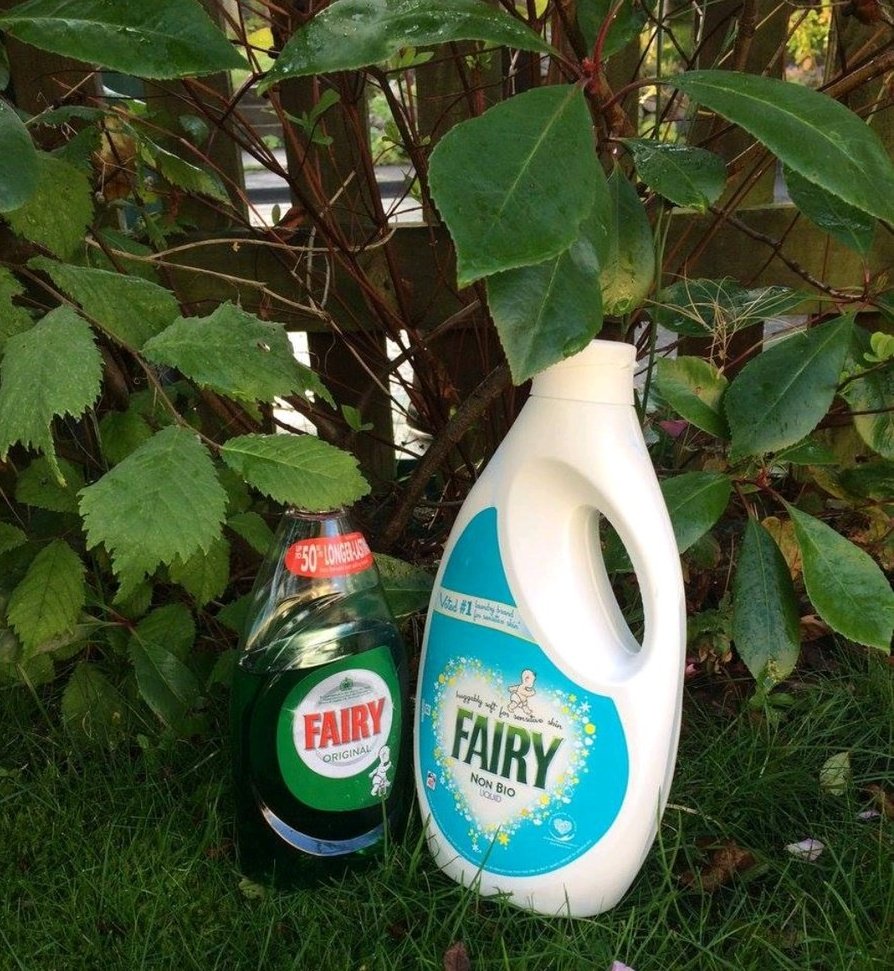 Jim Corbridge tweet media