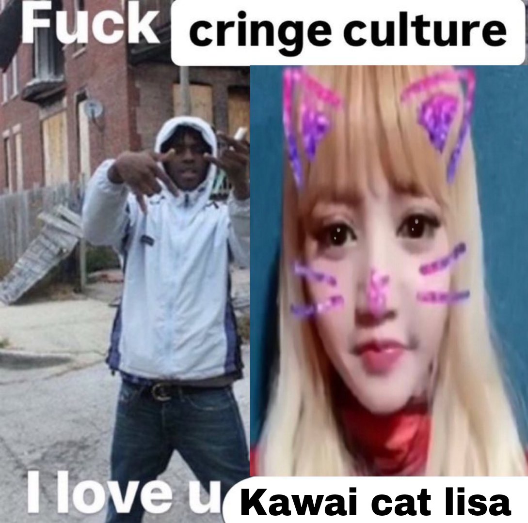 Kawai cangaa✮ tweet media