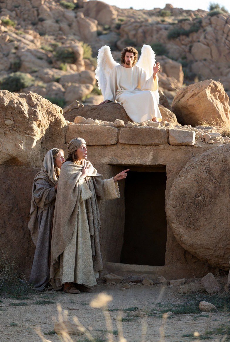 Erica 🇺🇸🇺🇸🇺🇸 tweet media