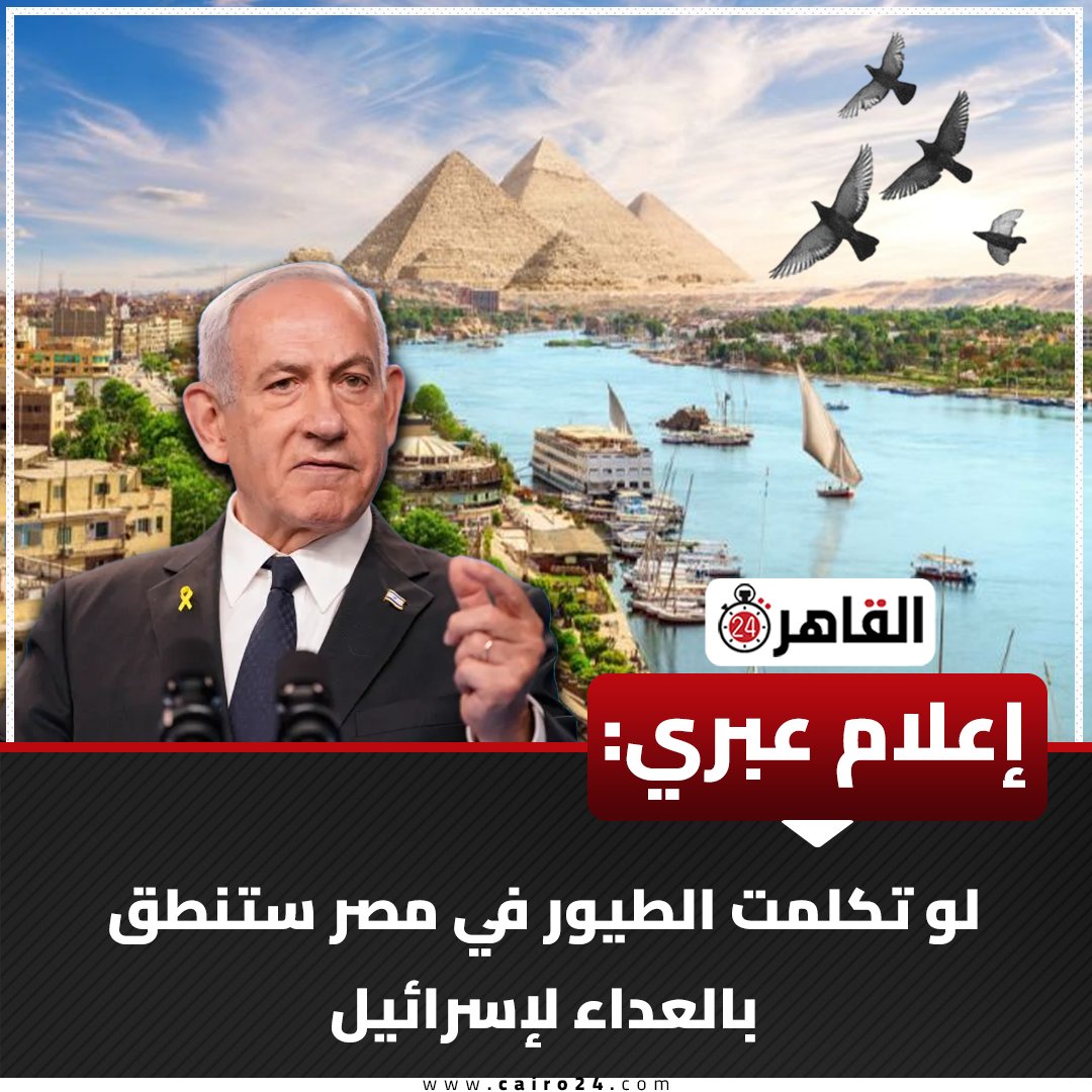 Cairo 24 - القاهرة 24 tweet media