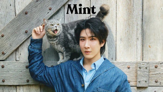 Salamona 🐈‍⬛🐈 tweet media