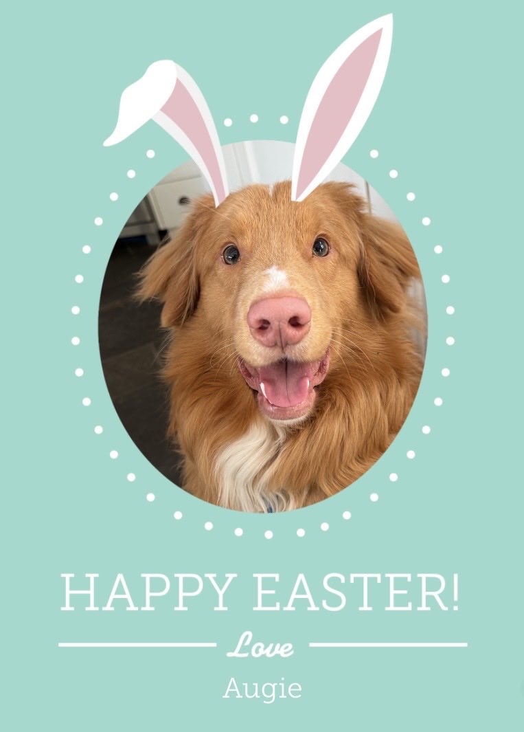 Augie (Shadow 🌈) tweet media