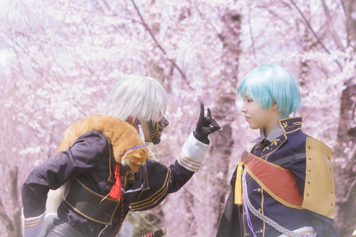 3ggtp_p's tweet photo. 刀剣乱舞 cosplay 

 ＿粟田口＿

鳴狐@makotocos_hobby 
一期一振@mumumu_cos 

#えざき舎 #佐倉で桜SP https://t.co/XymAoQ6cKR