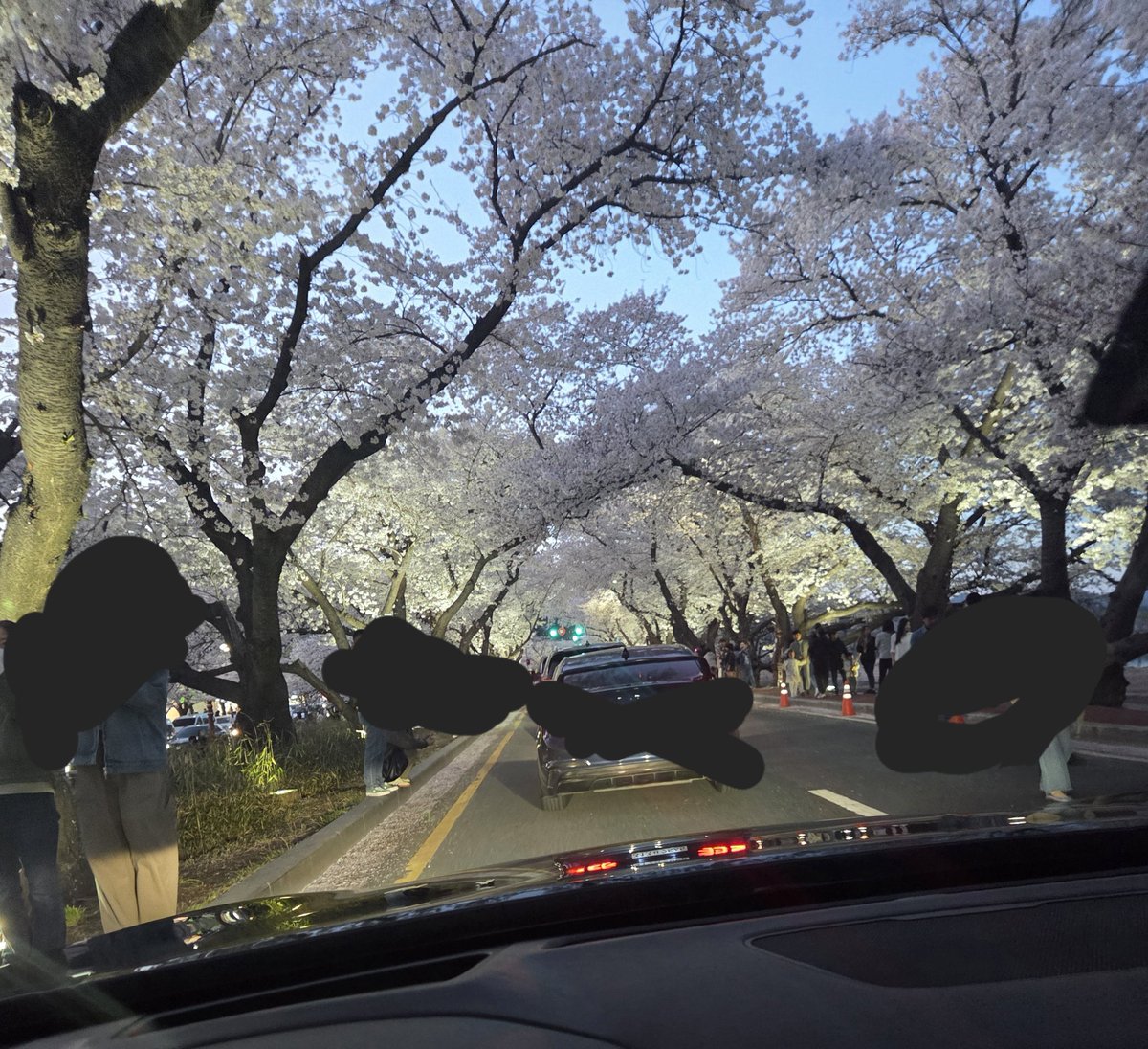 죵말이🍯 tweet media