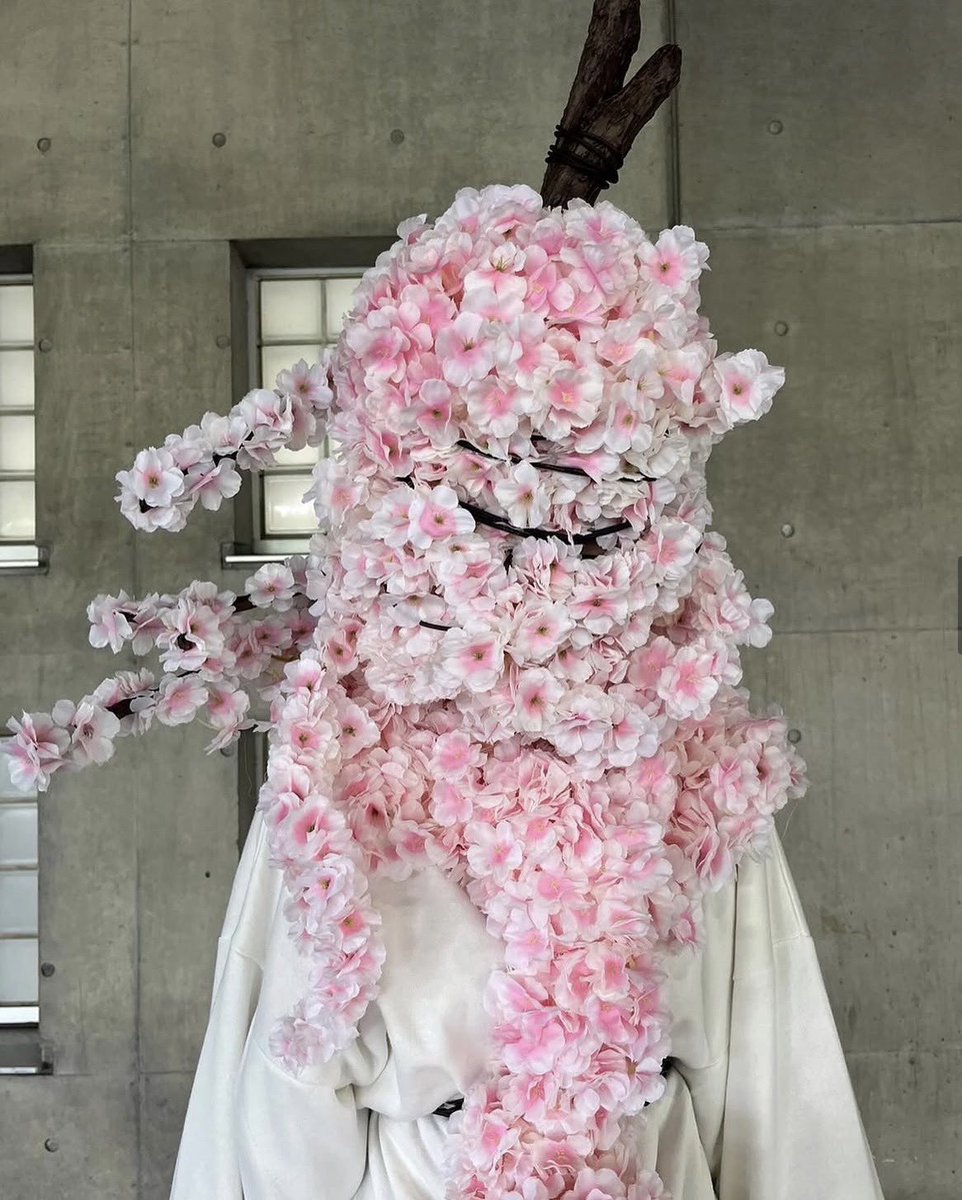 アンジェリカ tweet media