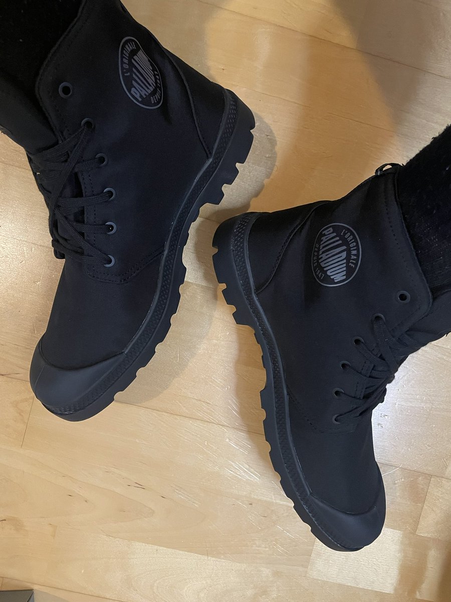 ミナミタワシ tweet media