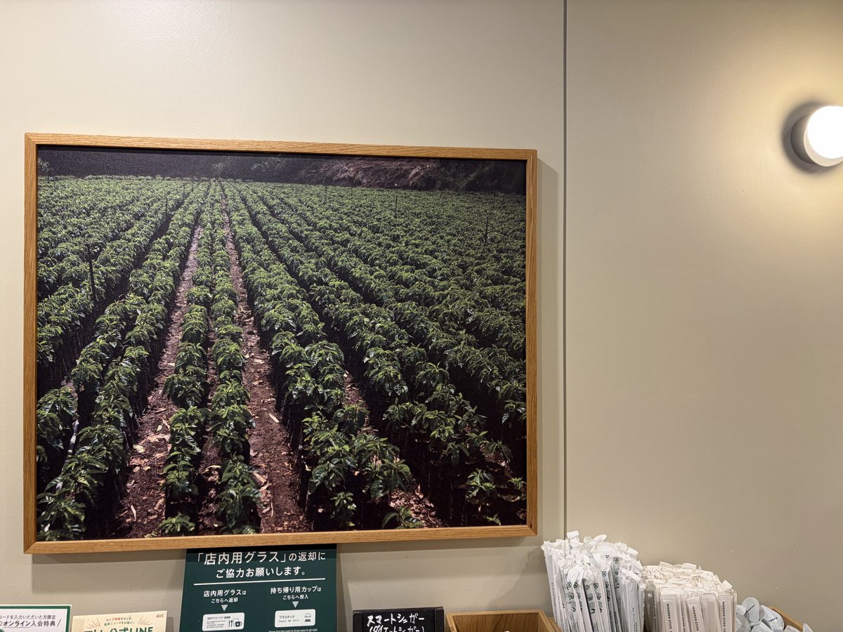 lime🍋🟩 tweet media