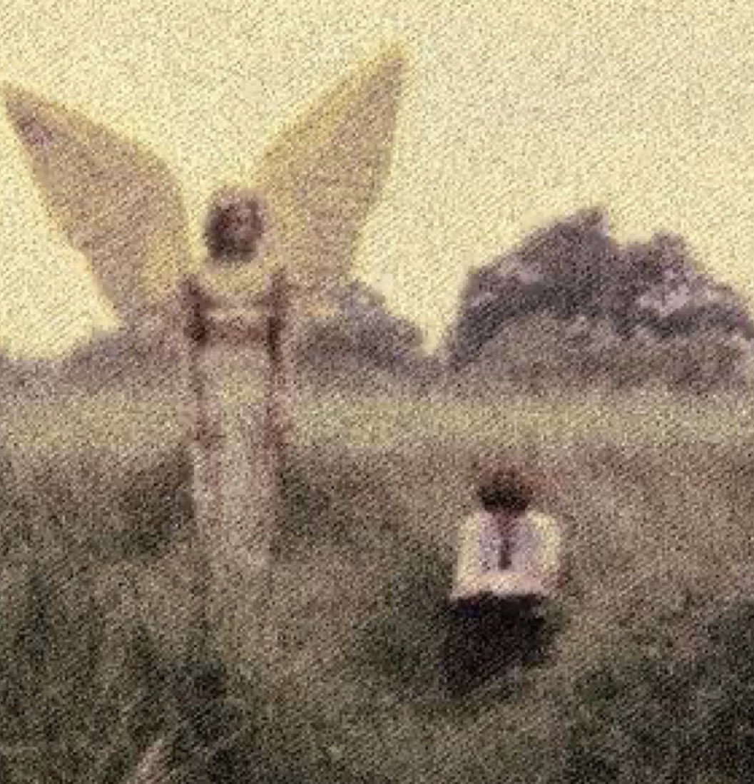 eli 𓄧 tweet media