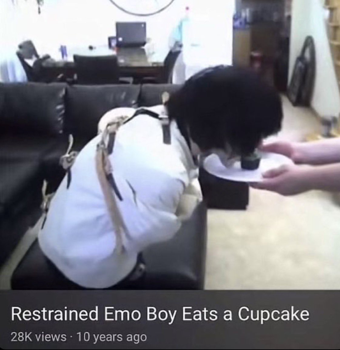 eli 𓄧 tweet media