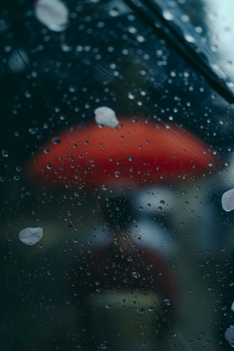 sho__pic's tweet photo. rainy day. https://t.co/iKGoQOIiGw