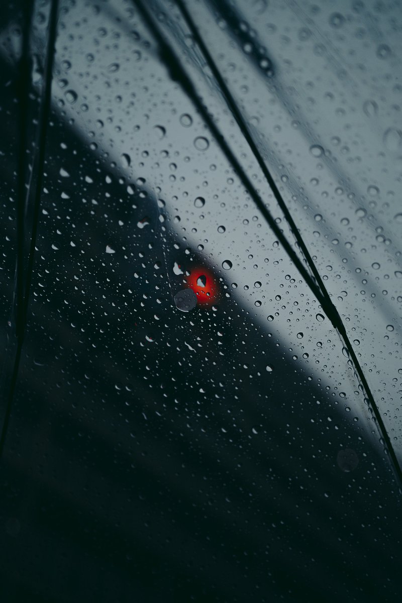 sho__pic's tweet photo. rainy day. https://t.co/iKGoQOIiGw