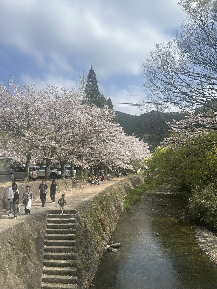 あいす tweet media