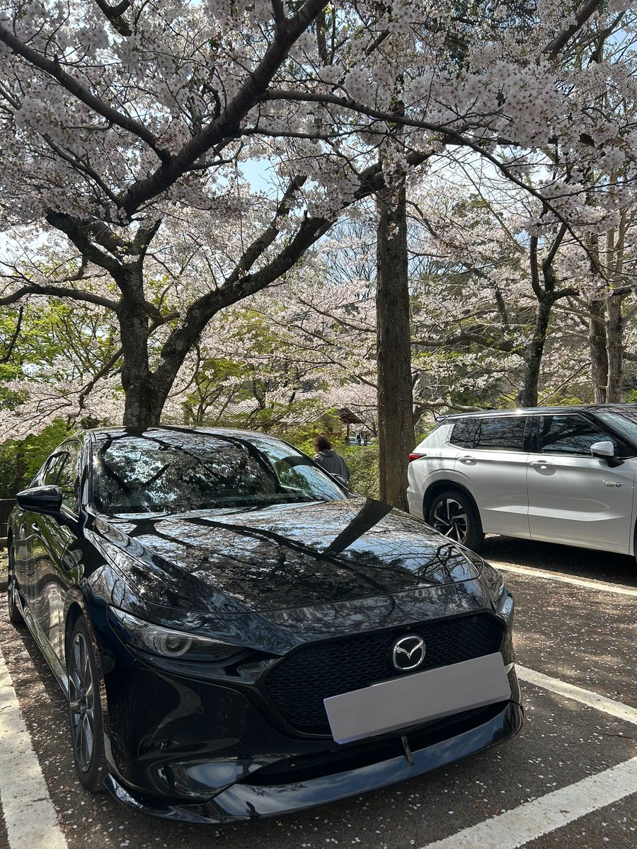 あいす tweet media