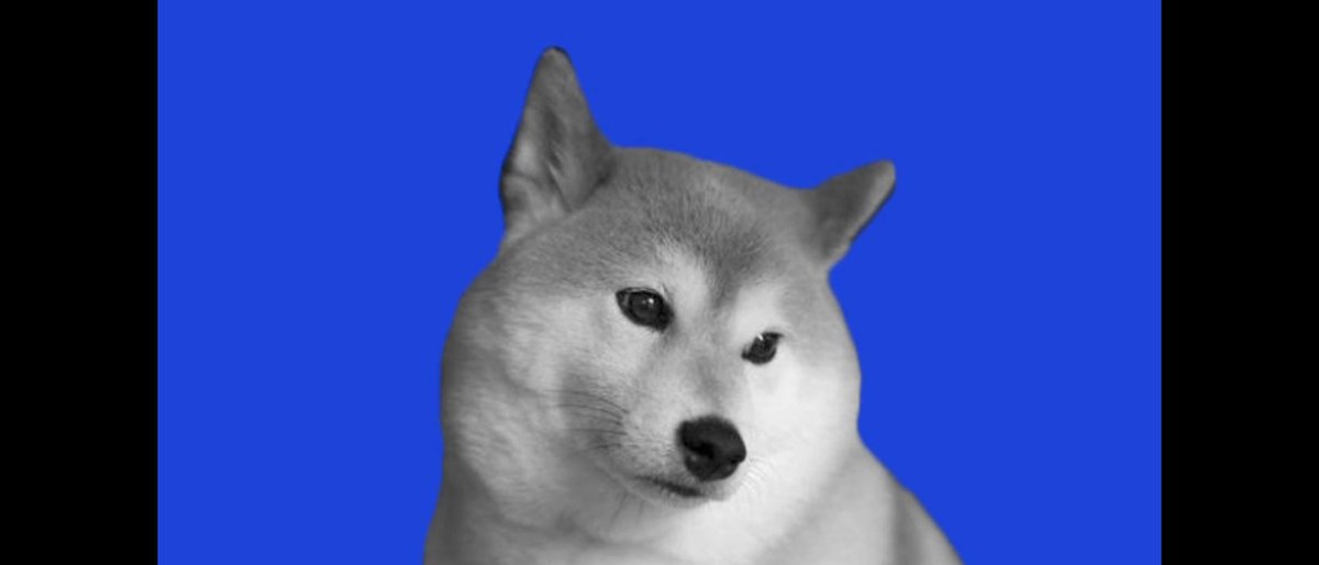 るねるねあ？ tweet media