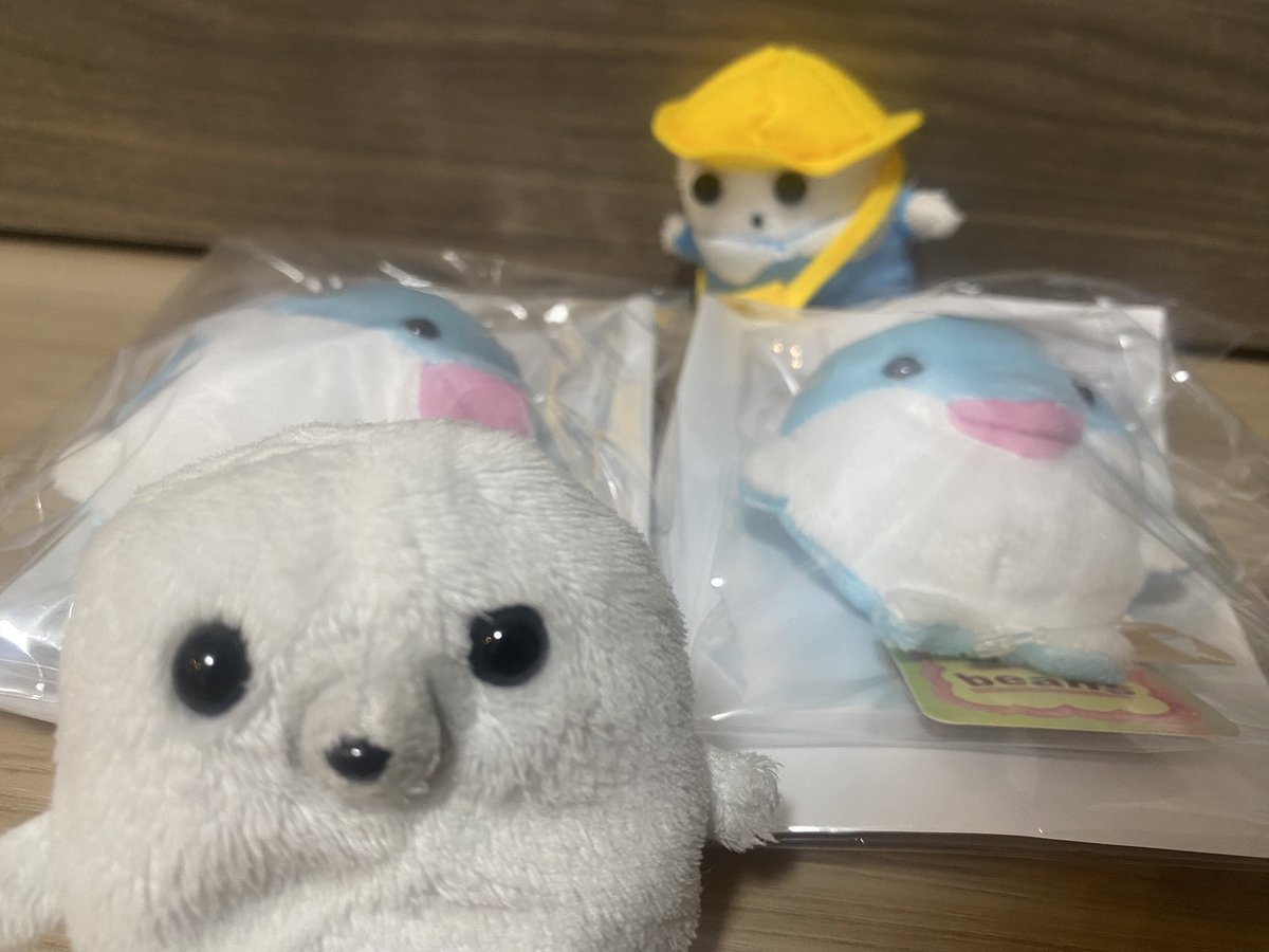 gomata_beans's tweet photo. 【🐬里親募集🐬】

かいぬし　の　てちがい で
mini beans の　いるか　を
2ひき　おむかえ　した　かも

ついった　の　おともらち　に
ぷれぜんと　したい　かも

（飼い主より）
フォロー&amp;リポスト&amp;いいねした方の中から抽選で1名様にプレゼントします。
可愛がってくれる方限定でお願いします🐬 https://t.co/vzF4rbvcpr