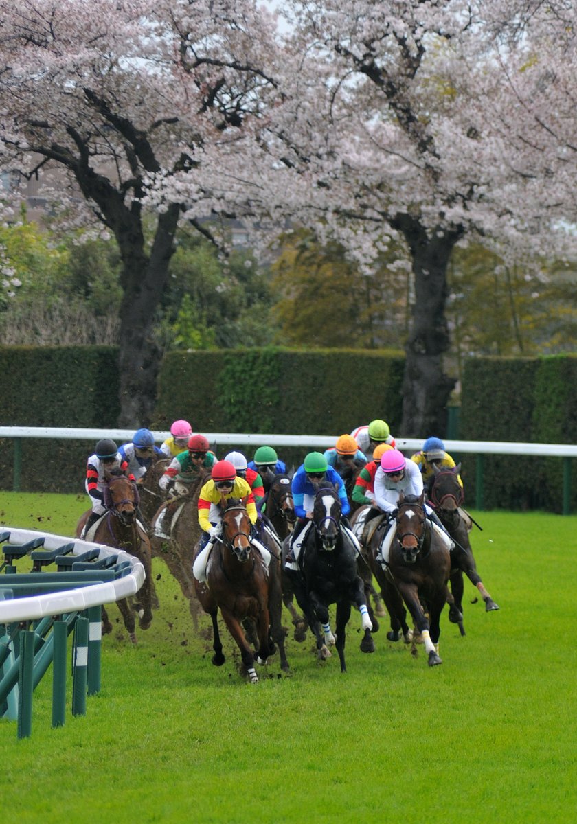 the-allow【放牧】　想定→中山GJ tweet media