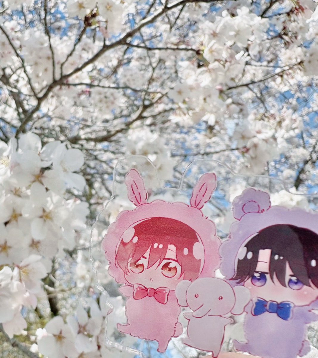 おいも🍠 tweet media