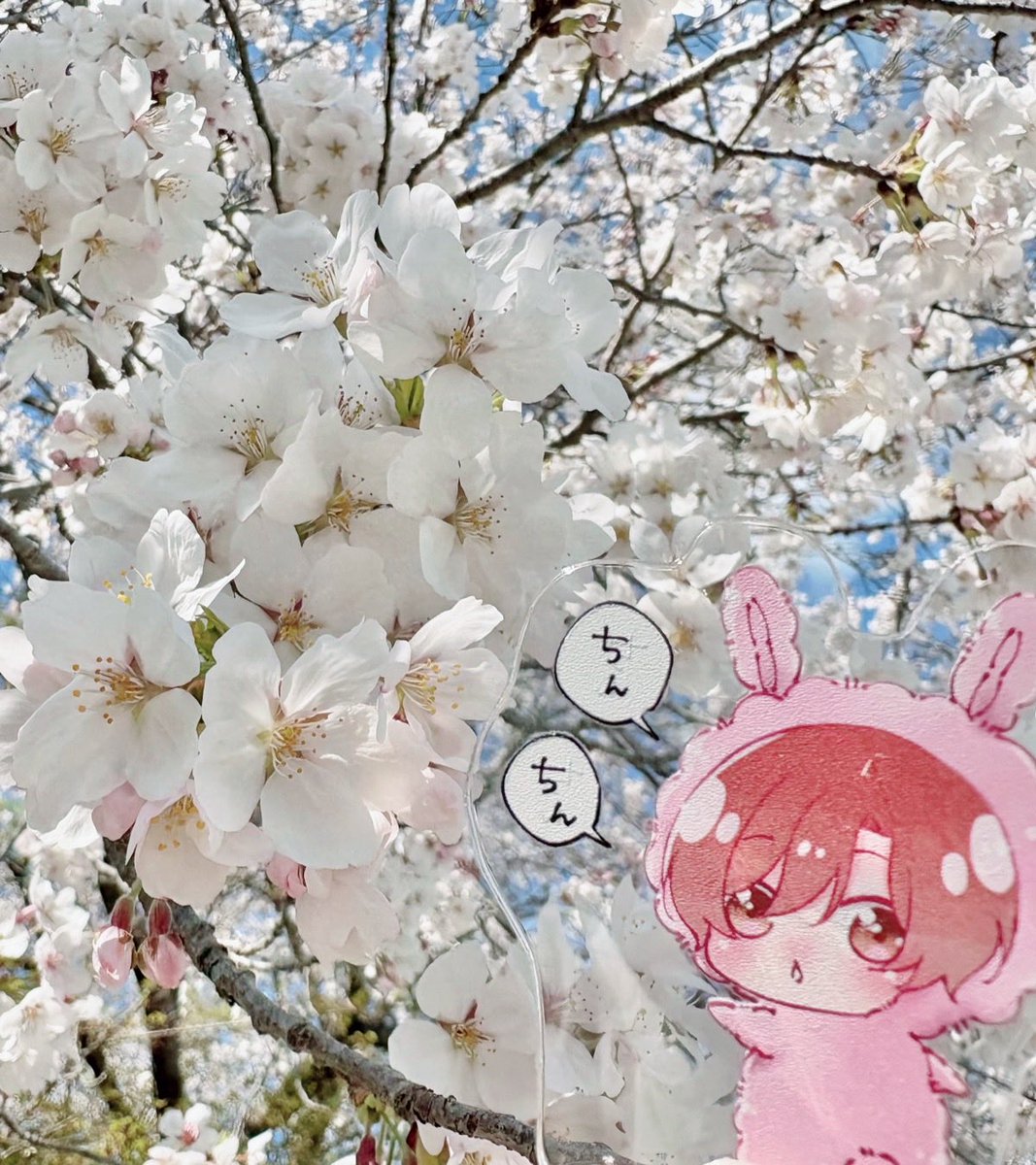 おいも🍠 tweet media