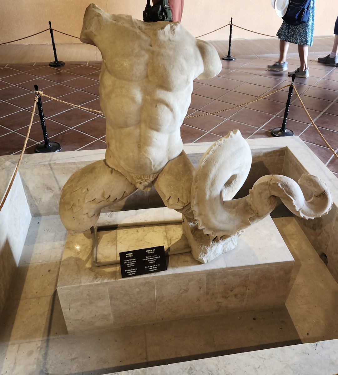 RuthlesS oppoSition LeAdeR tweet media