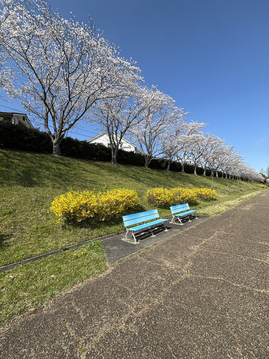 ちあき tweet media