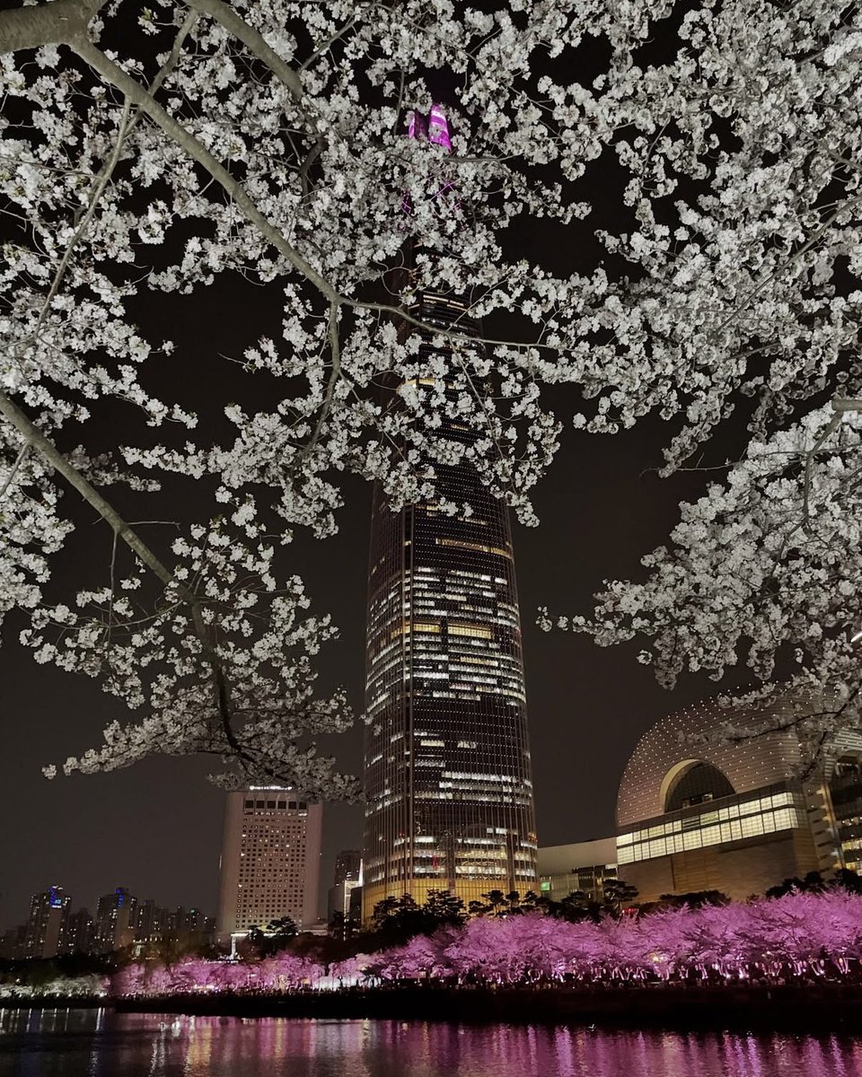 요리하는 일개미 tweet media