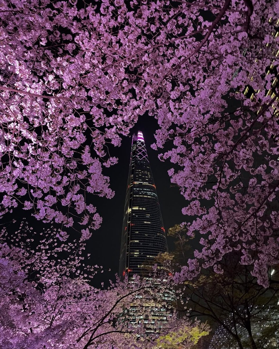 요리하는 일개미 tweet media