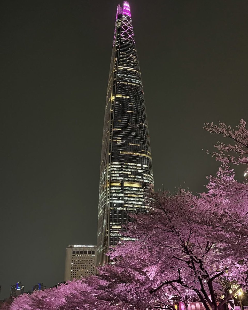 요리하는 일개미 tweet media