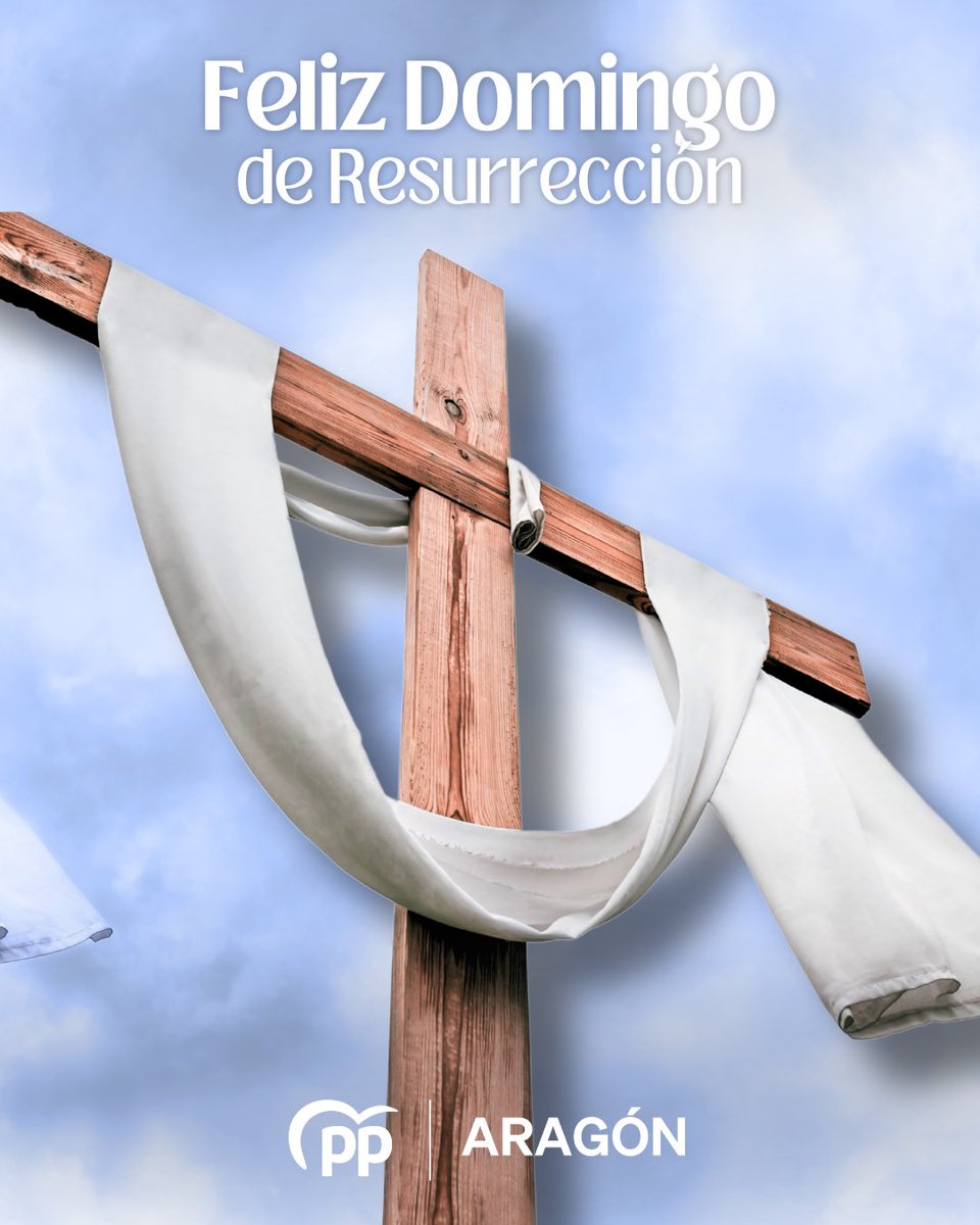 PP de Aragón tweet media