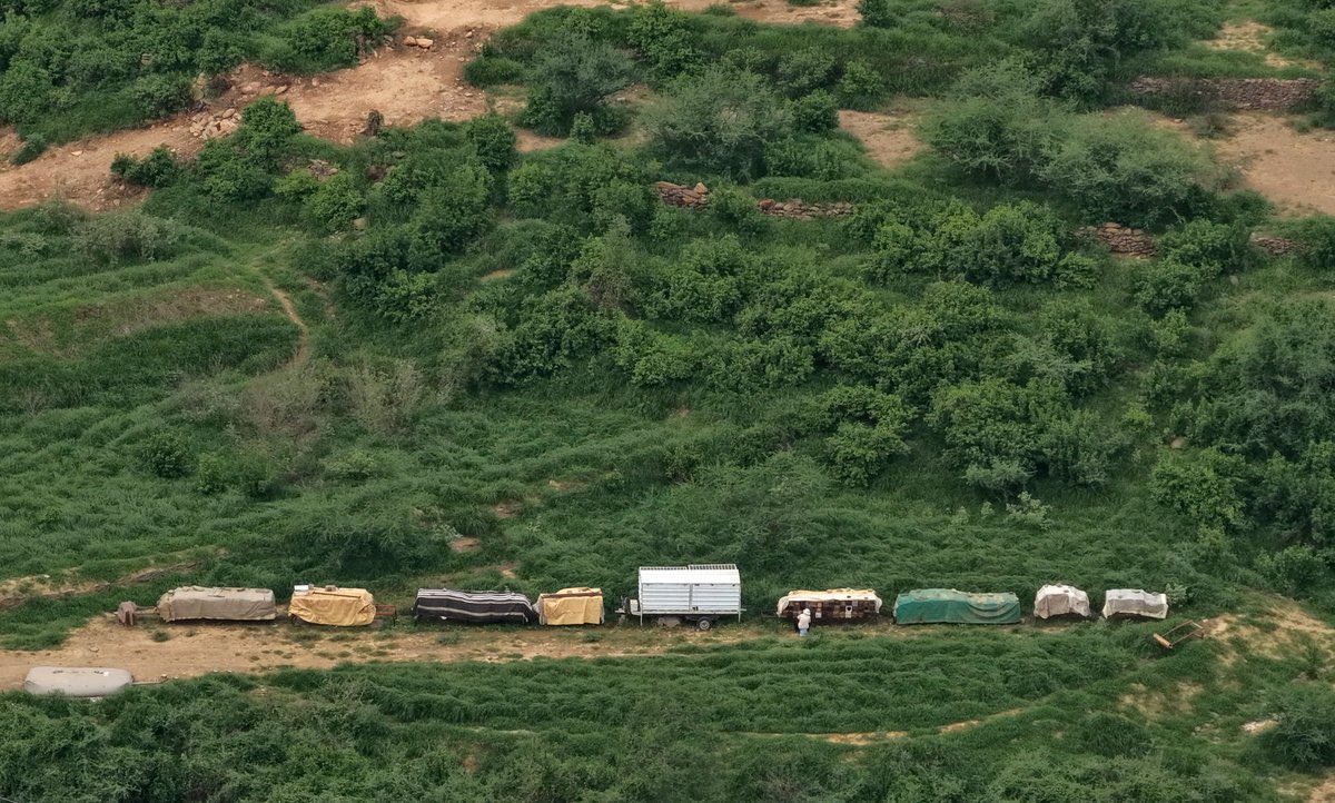 TSP جيوغرافيك tweet media