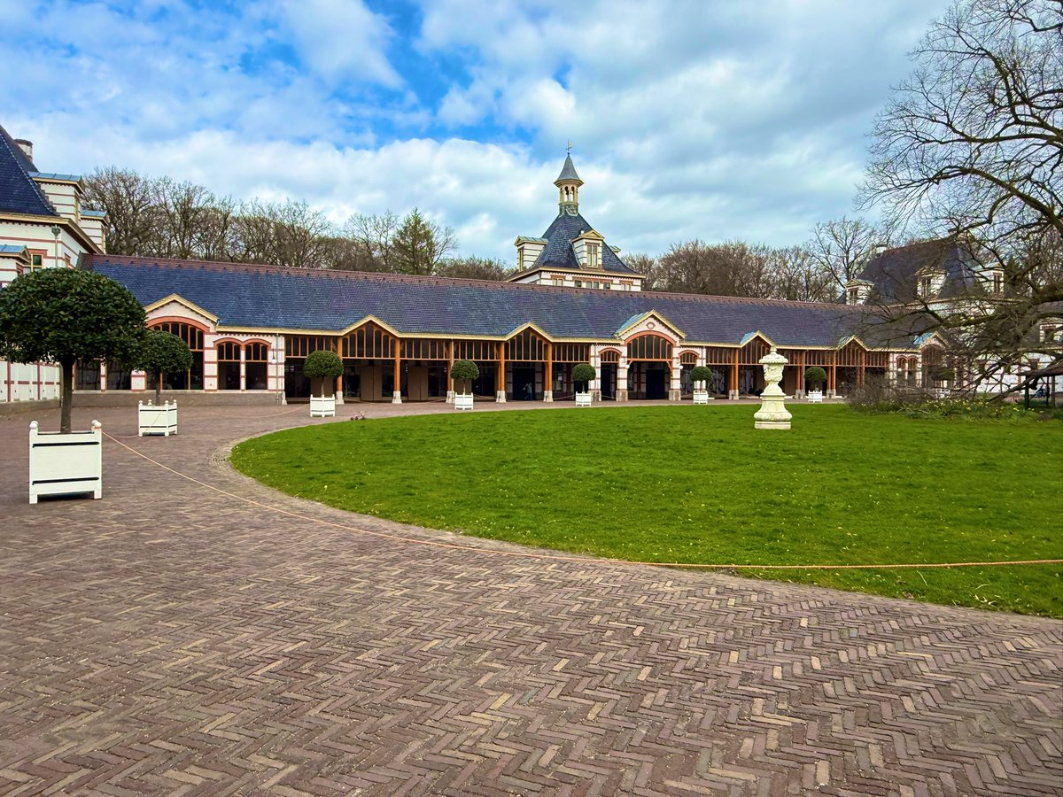 Beach Roy ☀️🏖️🌊🤙 tweet media