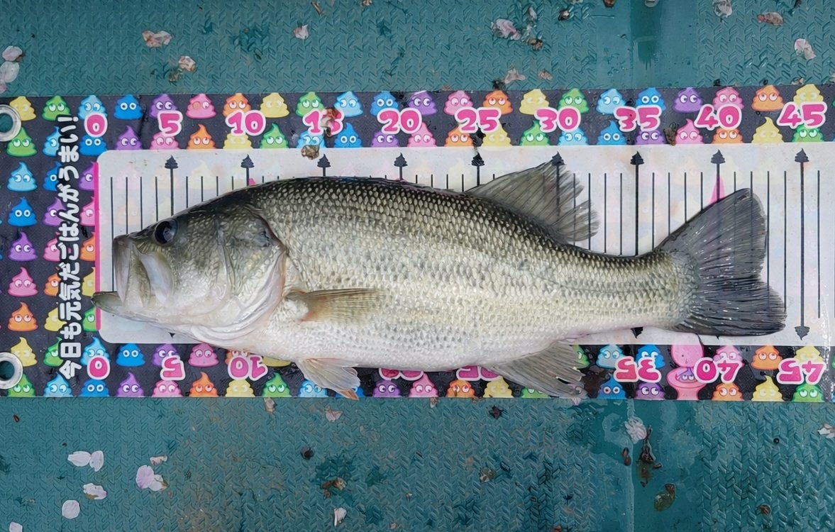 ひろせゆーじ㌠👾🍺💥💥💥 tweet media