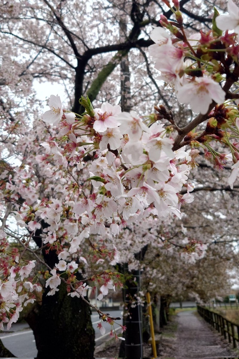 ひろせゆーじ㌠👾🍺💥💥💥 tweet media