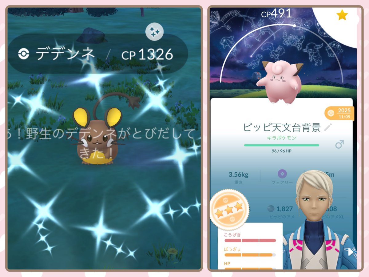 みなみ(✌︎˙˘˙✌︎)ぴ!!ずっと猫と暮らしたい tweet media