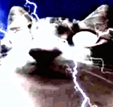 ♡PANCAKE♡ tweet media