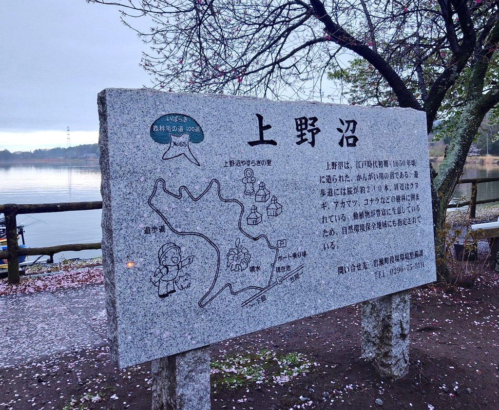 ひろせゆーじ㌠👾🍺💥💥💥 tweet media